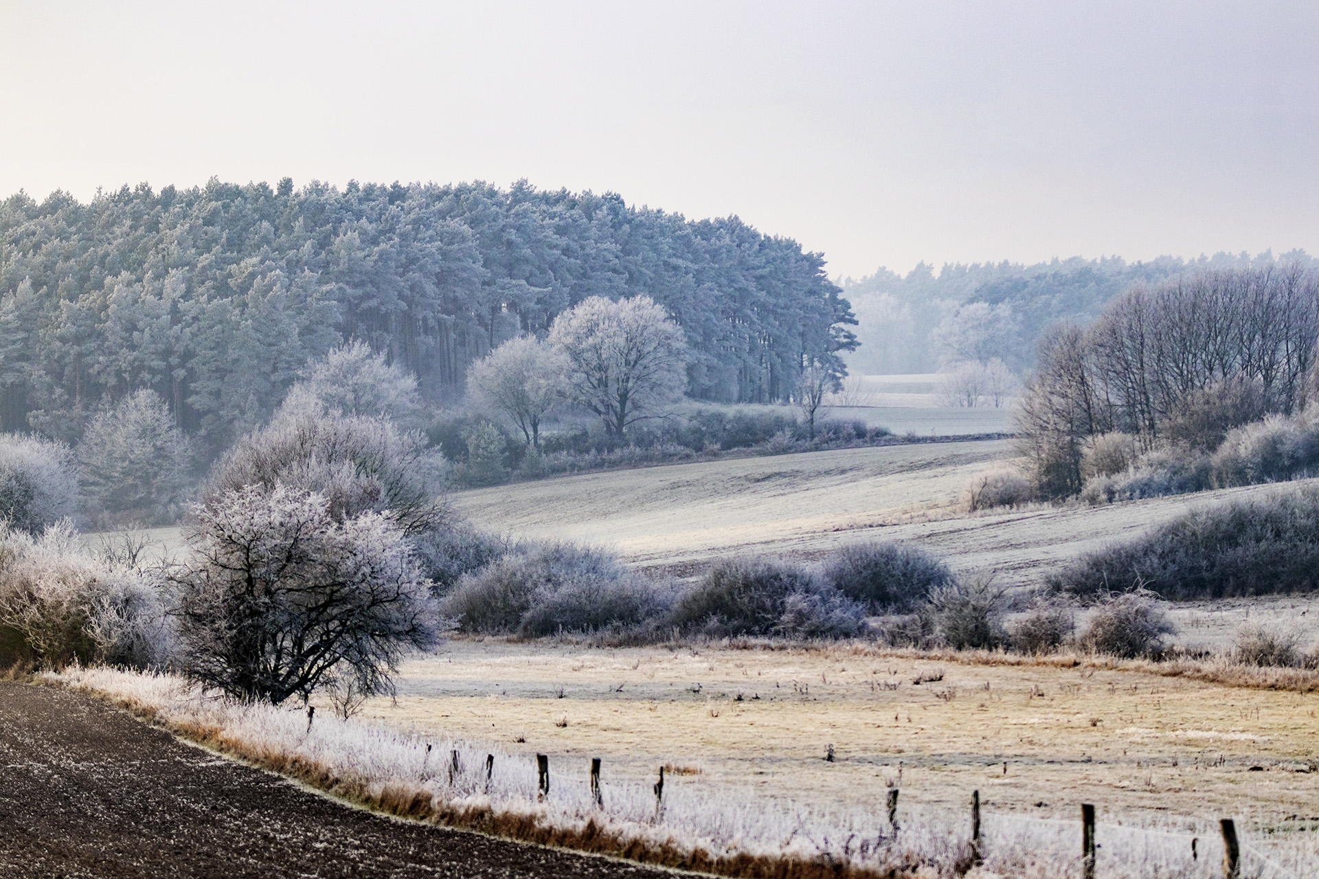 Winterlandschaft bei Lüneburg