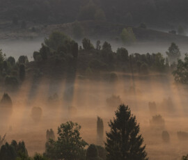 Totengrund, Lüneburger Heide