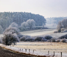 Winterlandschaft